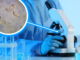 parasitologia